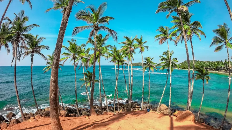Coconut palms and turquoise ocean in Mirissa